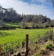Westcott & Leith Hill Circular Walk